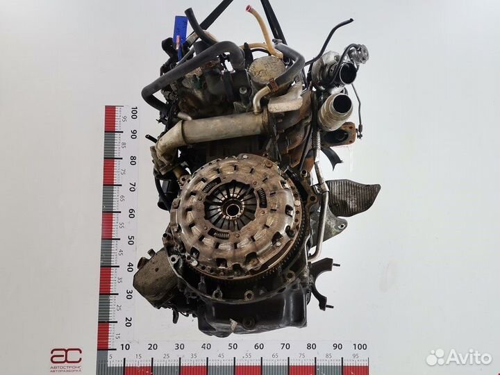 Двигатель (двс) для Ford Transit 5 P8FA