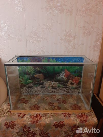 Аквариум 94.5 литра, фильтр, термометр, другое