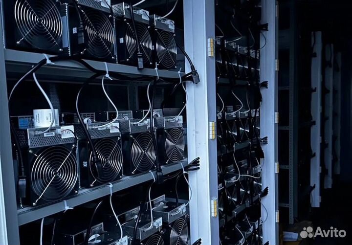 Майнинг ферма M50S 130th лот 10 штук в хостинге