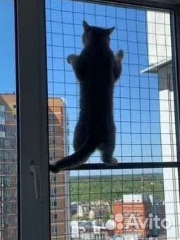 Решетка антикошка