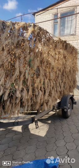 Лыко для сетей и костюмов