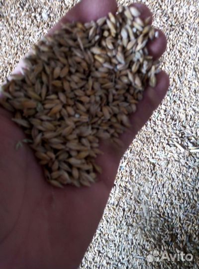 Комбикорма