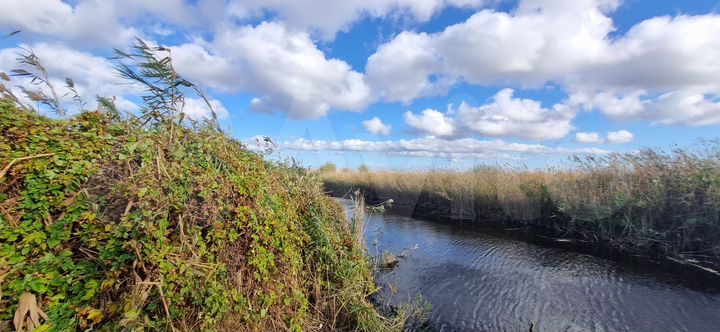 Участок 5,2 сот. (ИЖС)