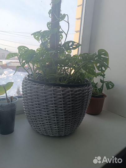 Мастер класс плетение из ротанга