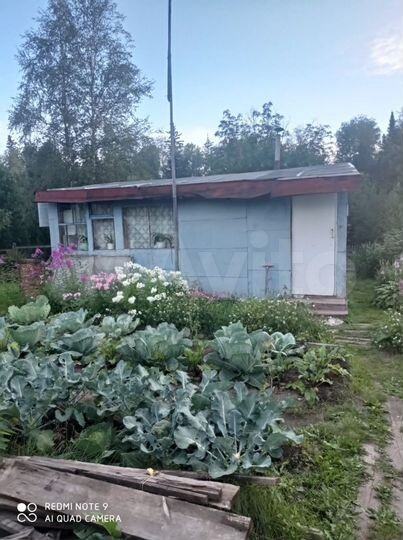 Участок 6 сот. (СНТ, ДНП)