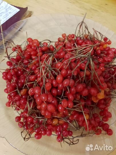 Калина ягода