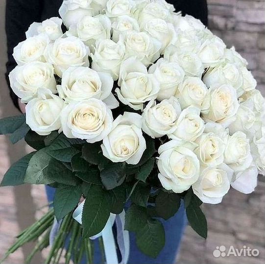 Высокие Розы с Доставкой