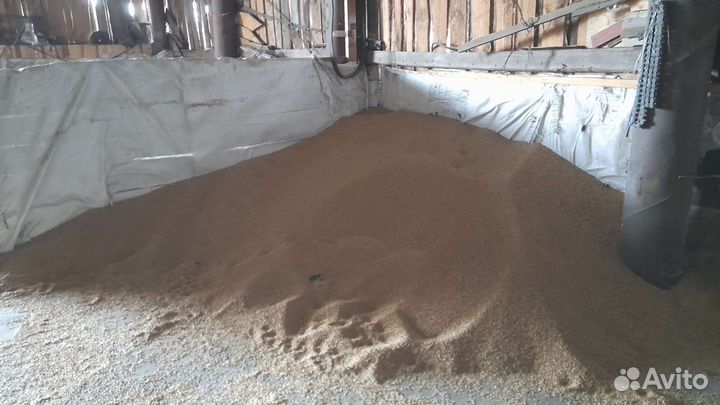 Продам ячмень