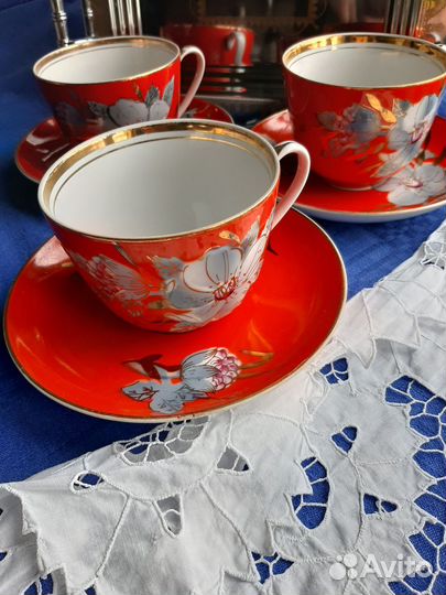 Чайная пара. Гигант. Мальва. Редкость