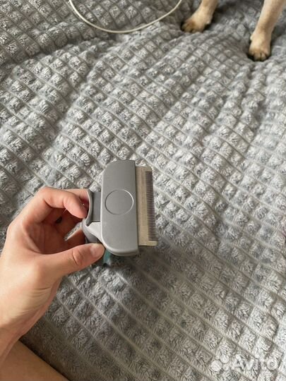 Когтерезка,расчестка для собак