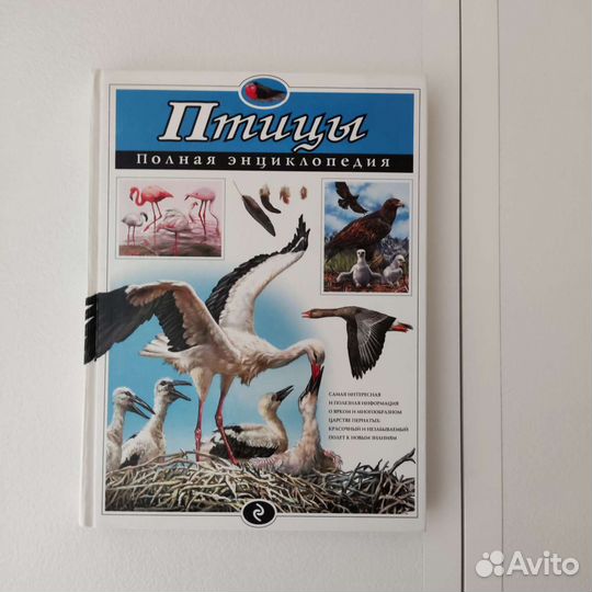 Детские книги в ассортименте