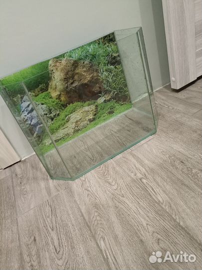 Аквариум на 30 литров