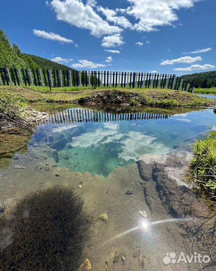 Карта в Атлетик