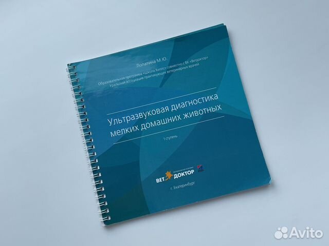 Ультразвуковая диагностика мелких животных