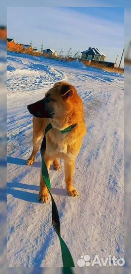 Девочка 3,5 мес