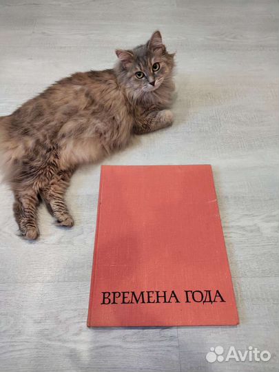 Русская пейзажная живопись