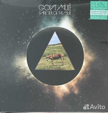 GOV'T mule - Dark Side Of The Mule (2LP)