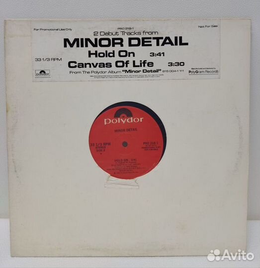 Minor Detail - Hold On /Canvas of Life LP