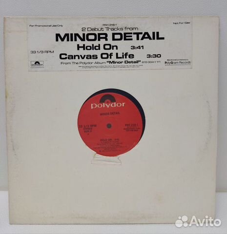 Minor Detail - Hold On /Canvas of Life LP
