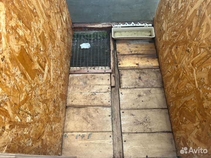 Клетки для кролика