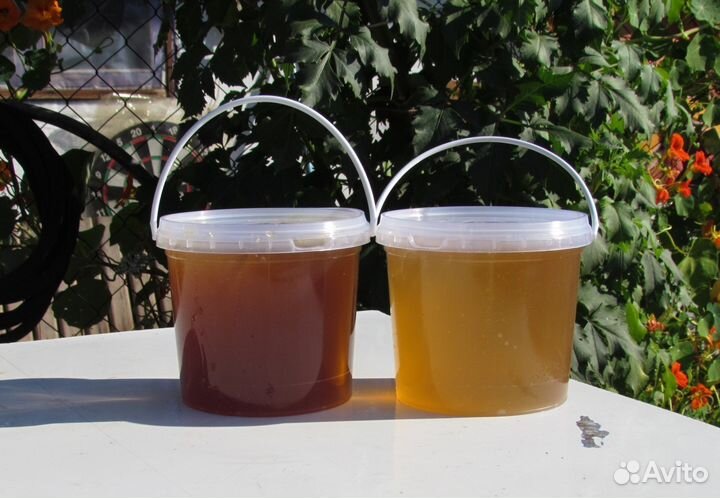 Алтайский мед