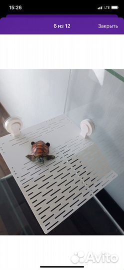 Мостик для черепахи