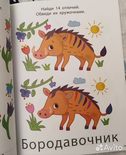 Книга найди отличия