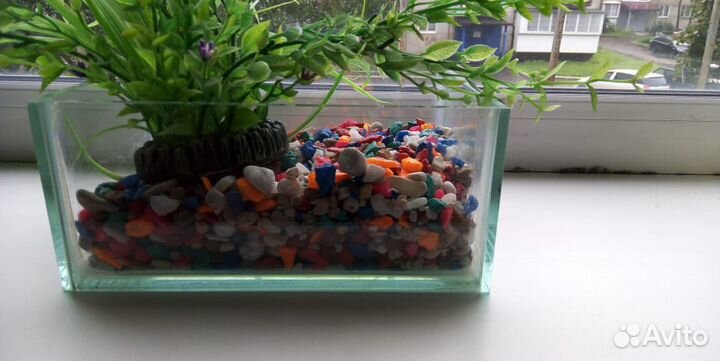 Аквариум