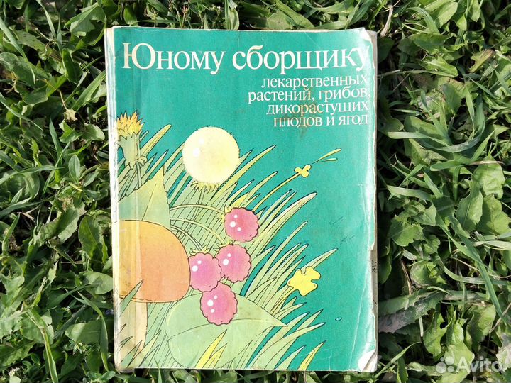 Литература о растениях и грибах