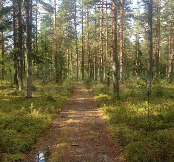 Участок 20 сот. (СНТ, ДНП)