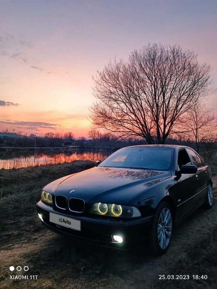 BMW 5 серия: фото владельца