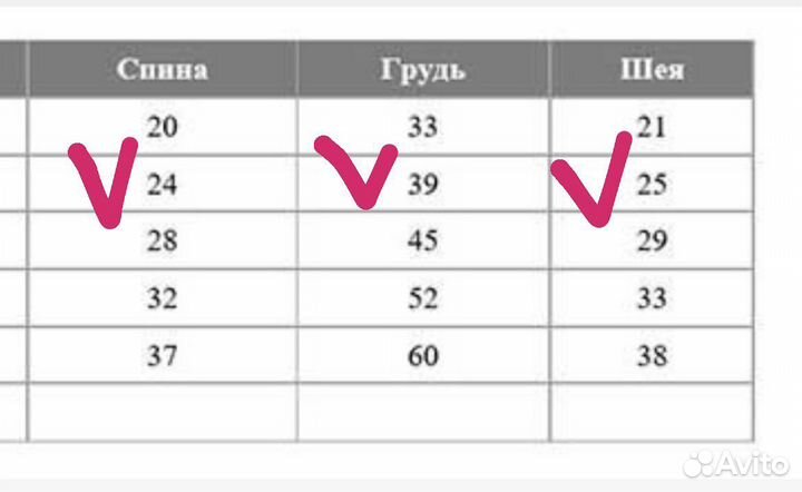 Одежда для собак