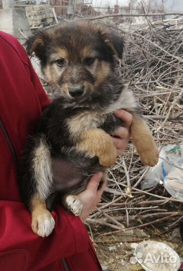 Пацан ищет дом