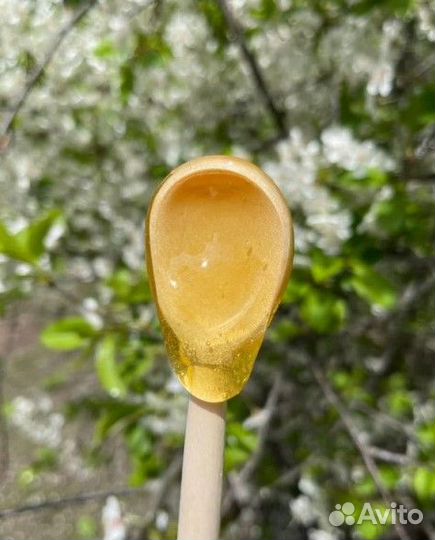 Майский мёд: Свежий, натуральный, ароматный