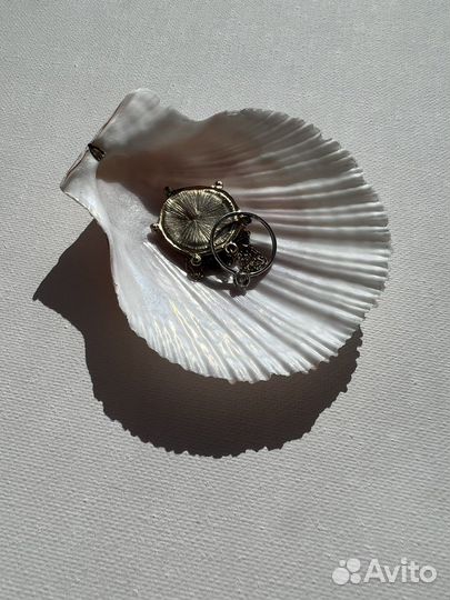 Раковина гребешка