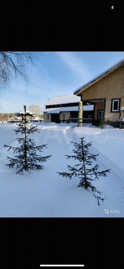 Дом 236,8 м² на участке 7,5 сот.