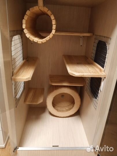 Витрина для шиншиллы