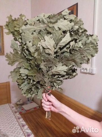 Веники для бани