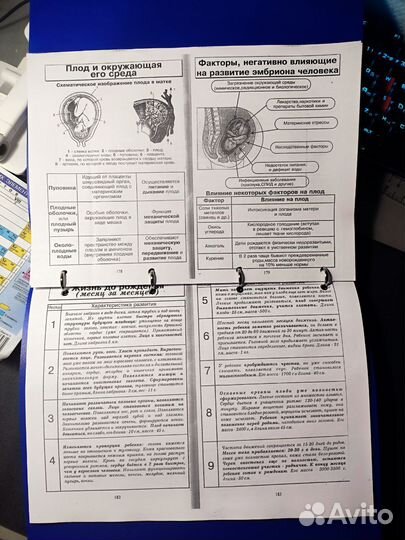 Резанова – Биология человека