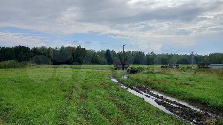 Участок 97 га (СНТ, ДНП)