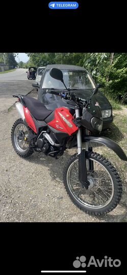 Irbis XR 250
