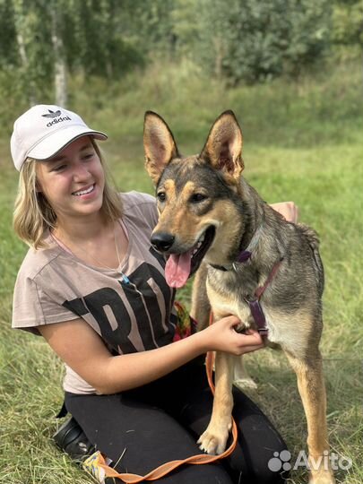 Луна. Беззащитный ребенок из приюта