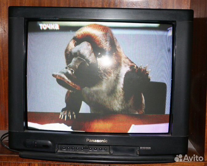 Телевизор Panasonic TC21GF10R