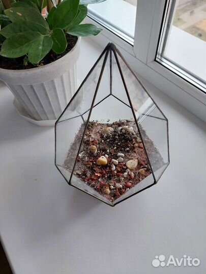 Стеклянный флорариум для суккулентов