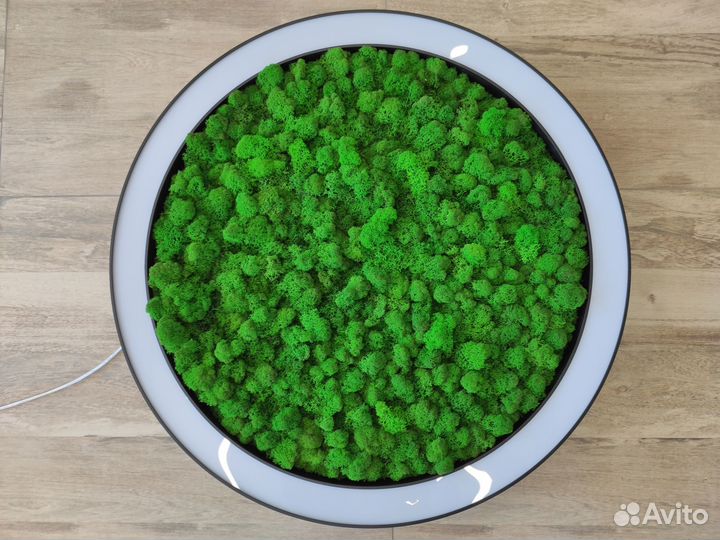 Люстра LED кольцевая потолочная со мхом Ягель