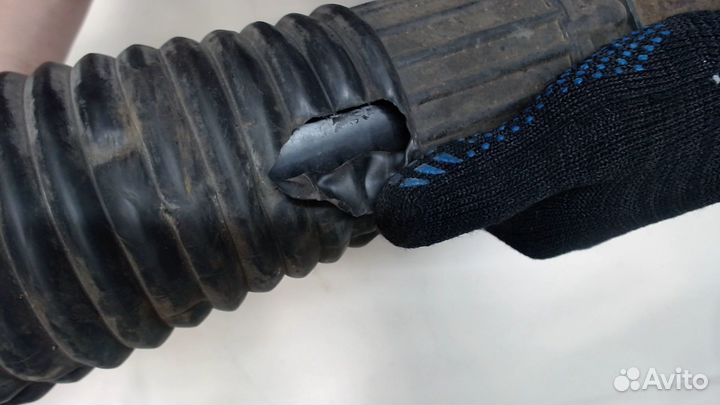 Амортизатор подвески Audi A8 (D3), 2004