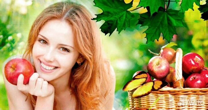 Разнорабочий по сборке яблок. Вахта