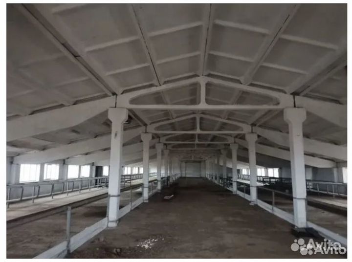 Животноводческая ферма