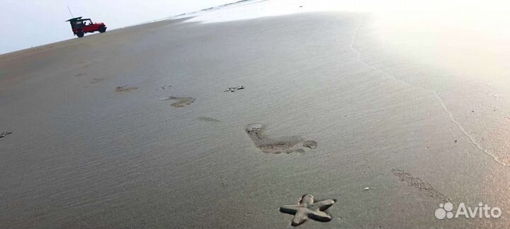 Морская звезда