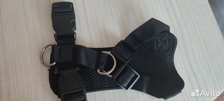 Шлейка для собаки